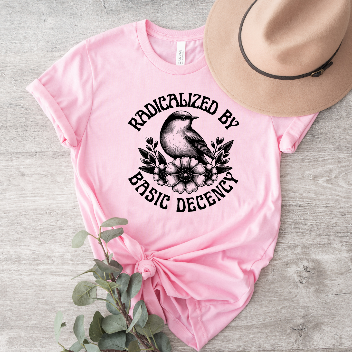 Pink t-shirt with graphic design and text, accompanied by a hat and plant on a wooden surface. radicalized by basic decency shirt, progressive tee, activist shirt, social justice clothing, political statement tee, hypocrisy shirt, progressive apparel, rally shirt, protest tee, witty activist shirt, equality shirt, ally shirt, conversation starter tee, bold statement clothing, unisex political shirt